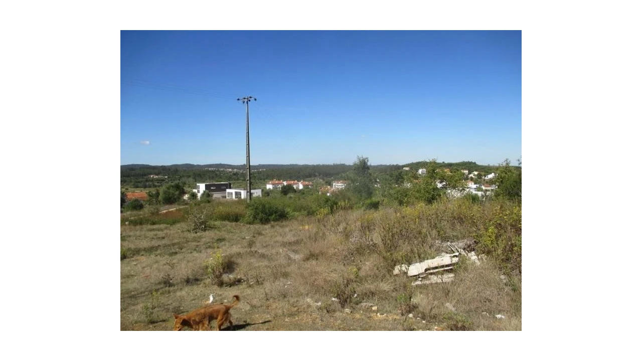 Terreno Agricola ou Rústico para Venda em Soure Foto 1