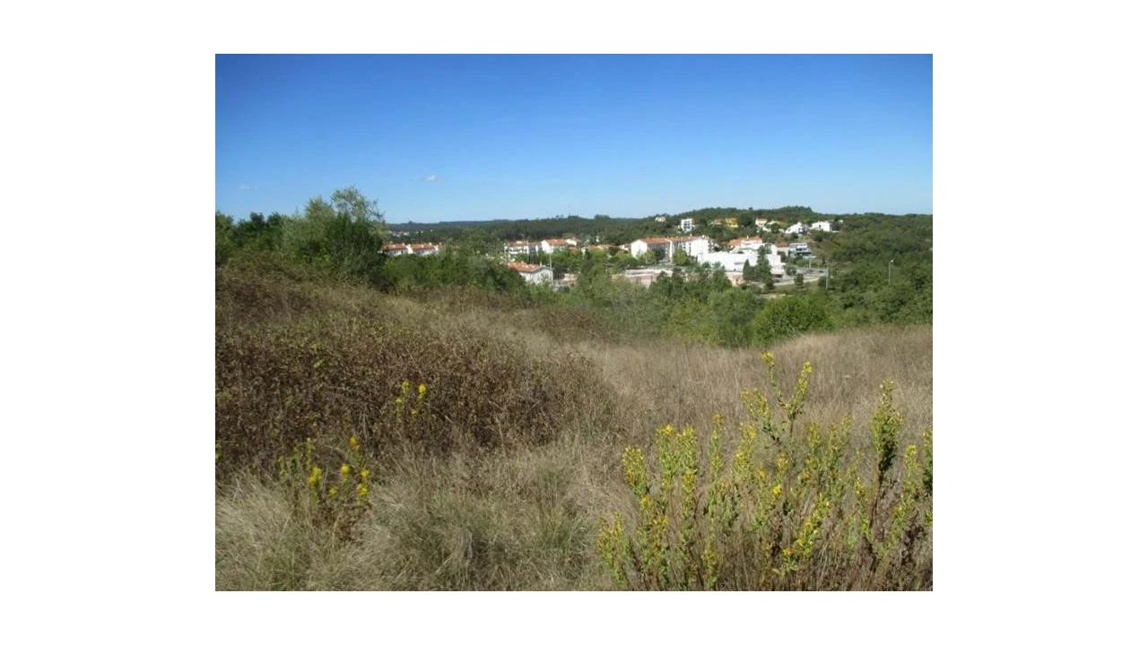 Terreno Agricola ou Rústico para Venda em Soure Foto 2