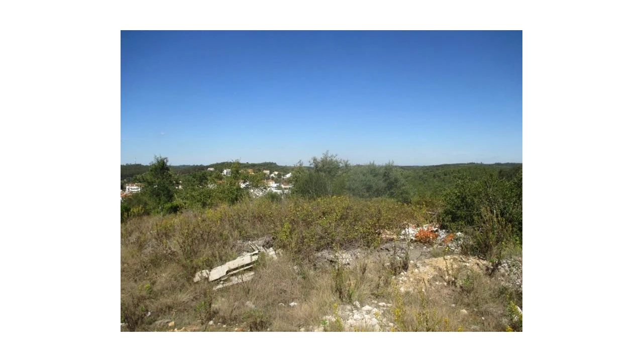 Terreno Agricola ou Rústico para Venda em Soure Foto 3