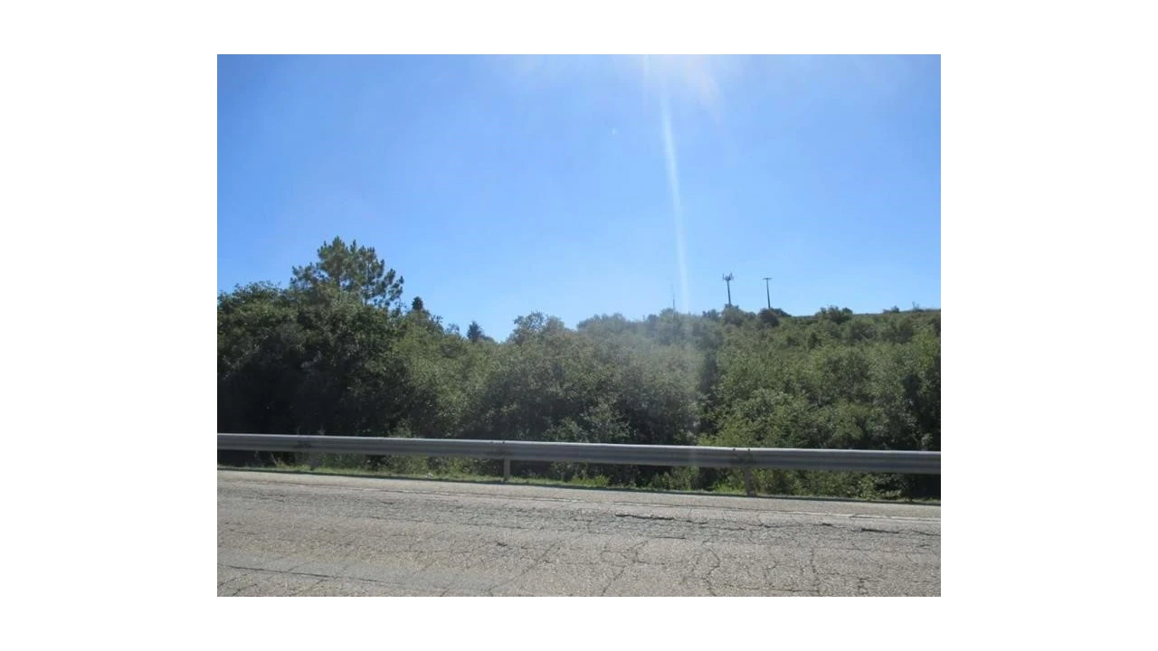 Terreno Agricola ou Rústico para Venda em Soure Foto 4