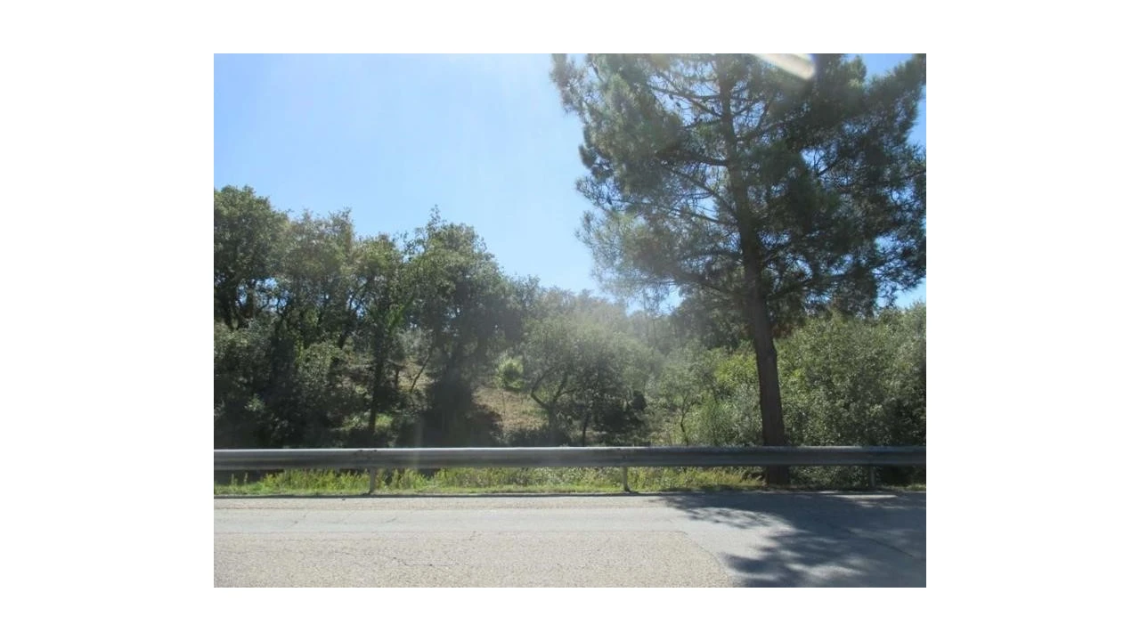 Terreno Agricola ou Rústico para Venda em Soure Foto 5