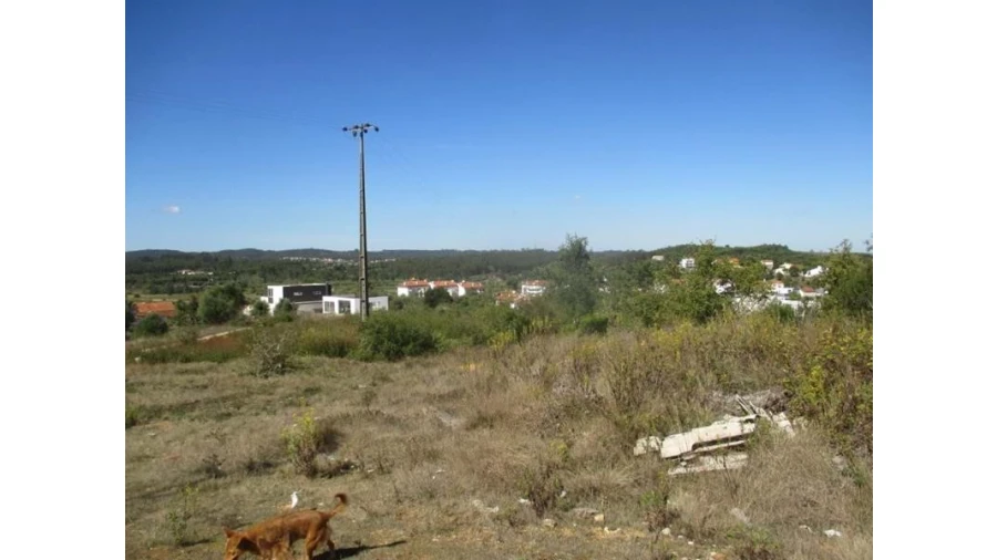 Terreno Agricola ou Rústico para Venda em Soure Foto 1