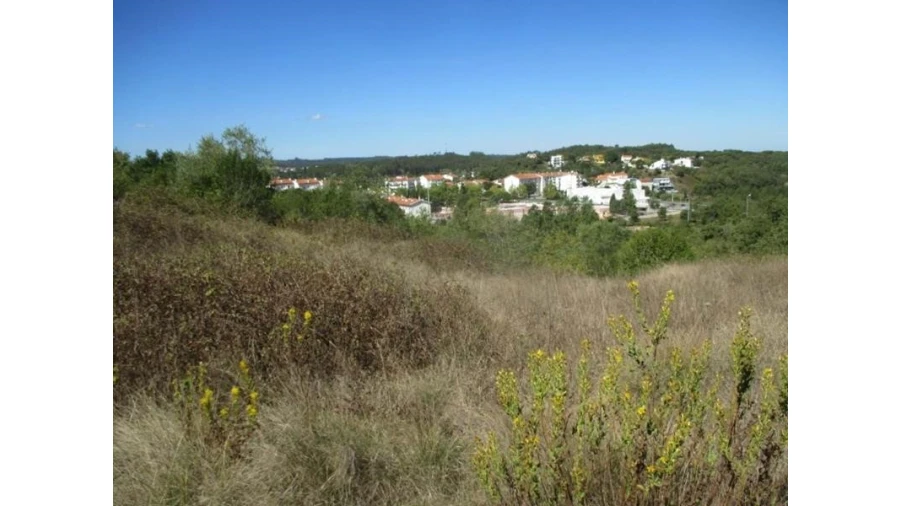 Terreno Agricola ou Rústico para Venda em Soure Foto 2