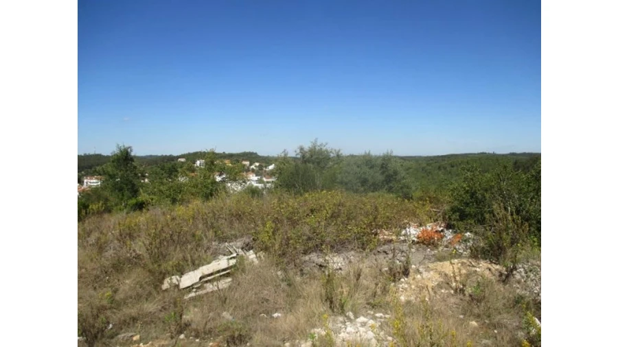 Terreno Agricola ou Rústico para Venda em Soure Foto 3