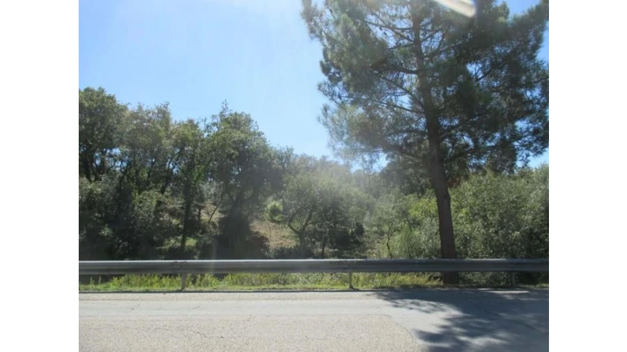 Terreno Agricola ou Rústico para Venda em Soure Foto 5