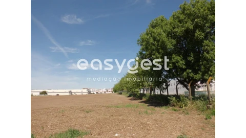 Terreno para Venda em Beja (Santiago Maior e São João Baptista)