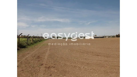 Terreno para Venda em Beja (Santiago Maior e São João Baptista)