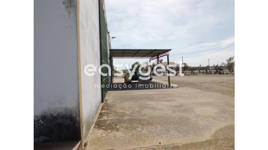 Terreno para Venda em Beja (Santiago Maior e São João Baptista) Foto 21