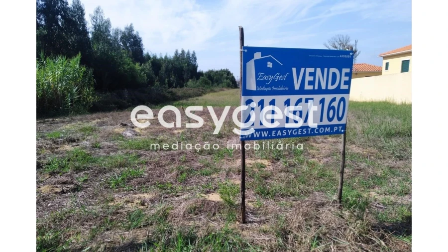 Terreno Agricola ou Rústico para Venda em Mira Foto 2