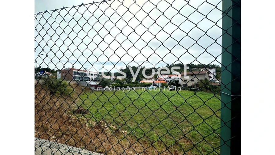 Terreno para Venda em Eiras e São Paulo de Frades Foto 6