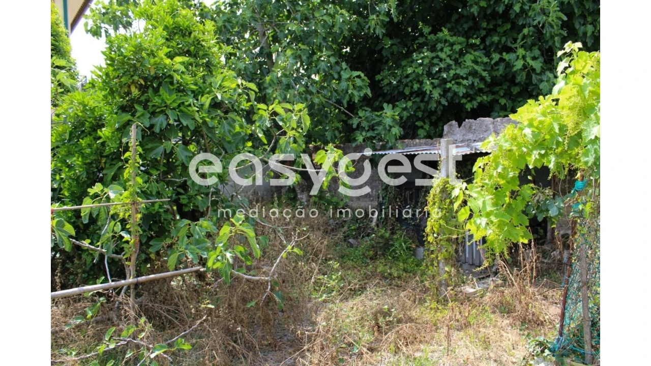 Moradia T4 para Venda em Ílhavo (São Salvador) Foto 9