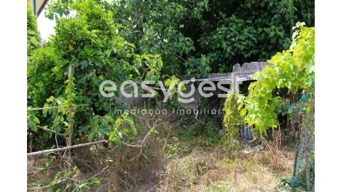 Moradia T4 para Venda em Ílhavo (São Salvador)