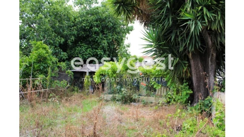 Moradia T4 para Venda em Ílhavo (São Salvador)