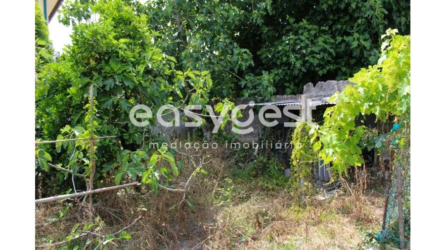 Moradia T4 para Venda em Ílhavo (São Salvador) Foto 9