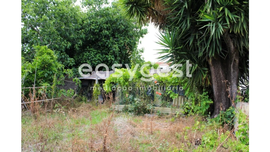 Moradia T4 para Venda em Ílhavo (São Salvador) Foto 35