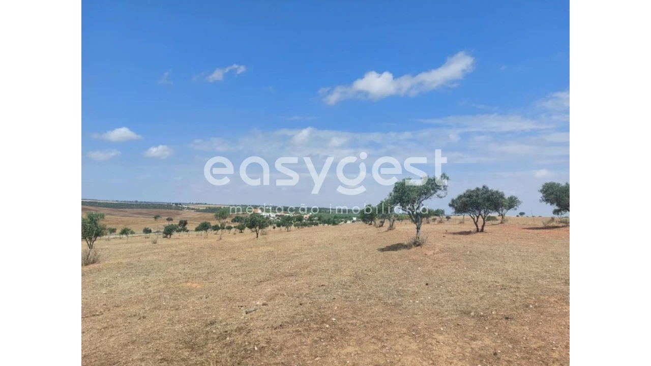 Terreno Agricola ou Rústico para Venda em Alcaria Ruiva Foto 3
