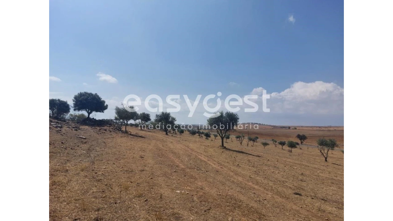 Terreno Agricola ou Rústico para Venda em Alcaria Ruiva Foto 4