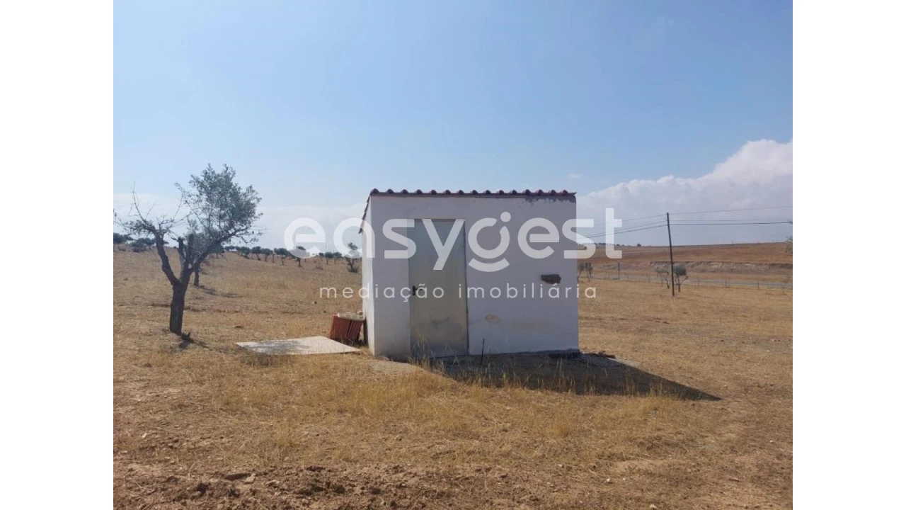 Terreno Agricola ou Rústico para Venda em Alcaria Ruiva Foto 6