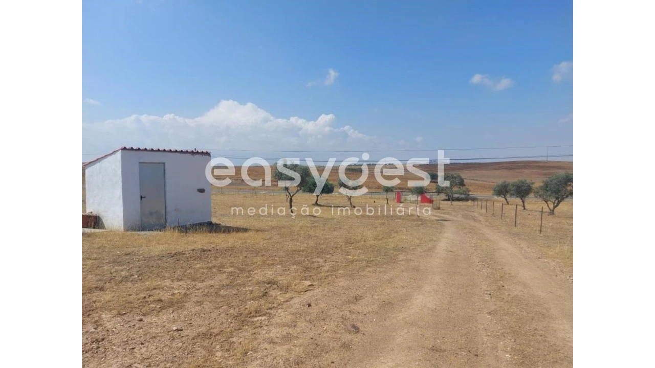 Terreno Agricola ou Rústico para Venda em Alcaria Ruiva Foto 7