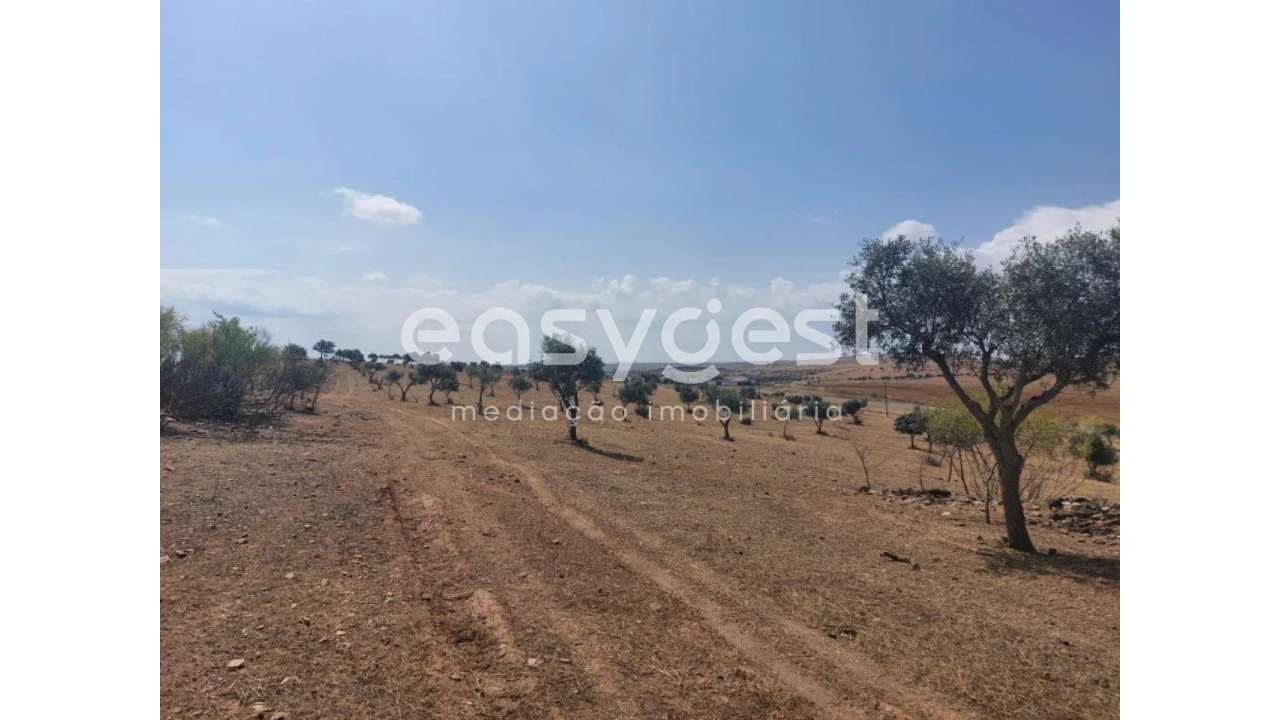 Terreno Agricola ou Rústico para Venda em Alcaria Ruiva Foto 9