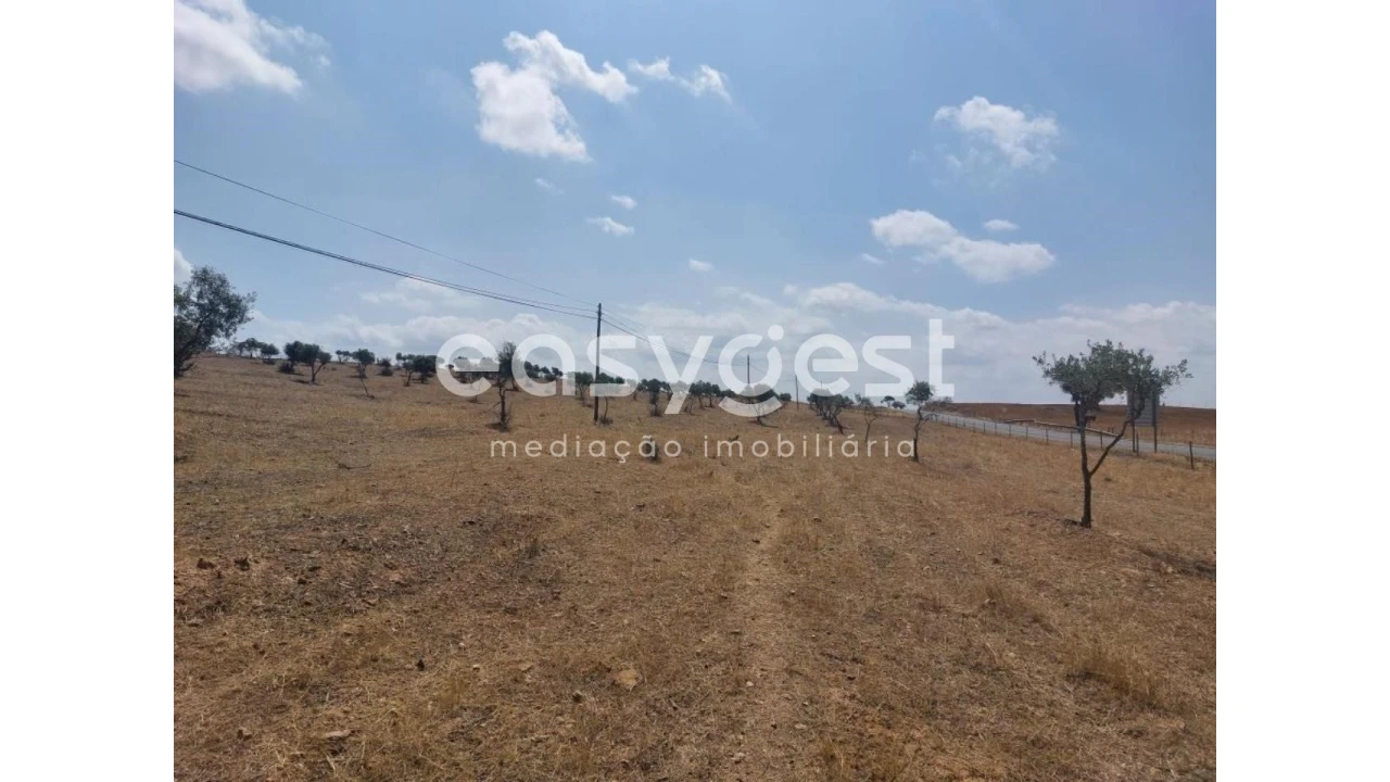 Terreno Agricola ou Rústico para Venda em Alcaria Ruiva Foto 10