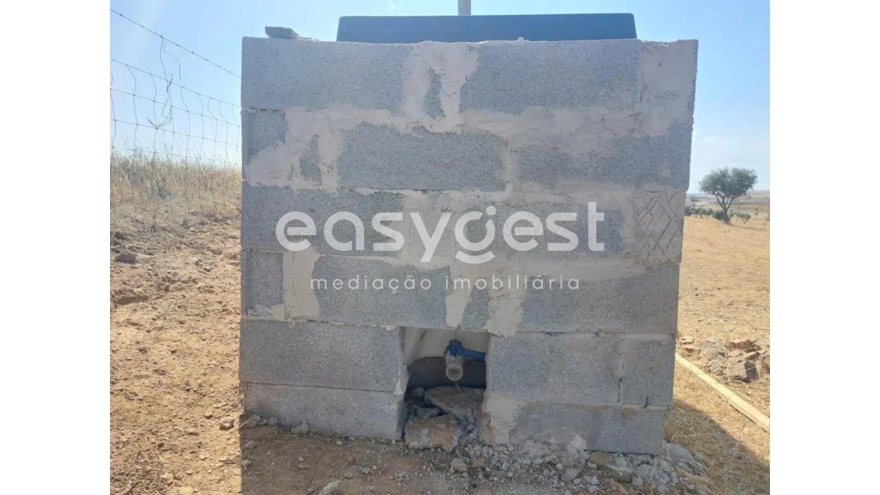 Terreno Agricola ou Rústico para Venda em Alcaria Ruiva Foto 12