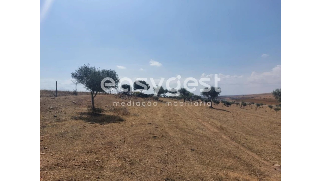 Terreno Agricola ou Rústico para Venda em Alcaria Ruiva Foto 13