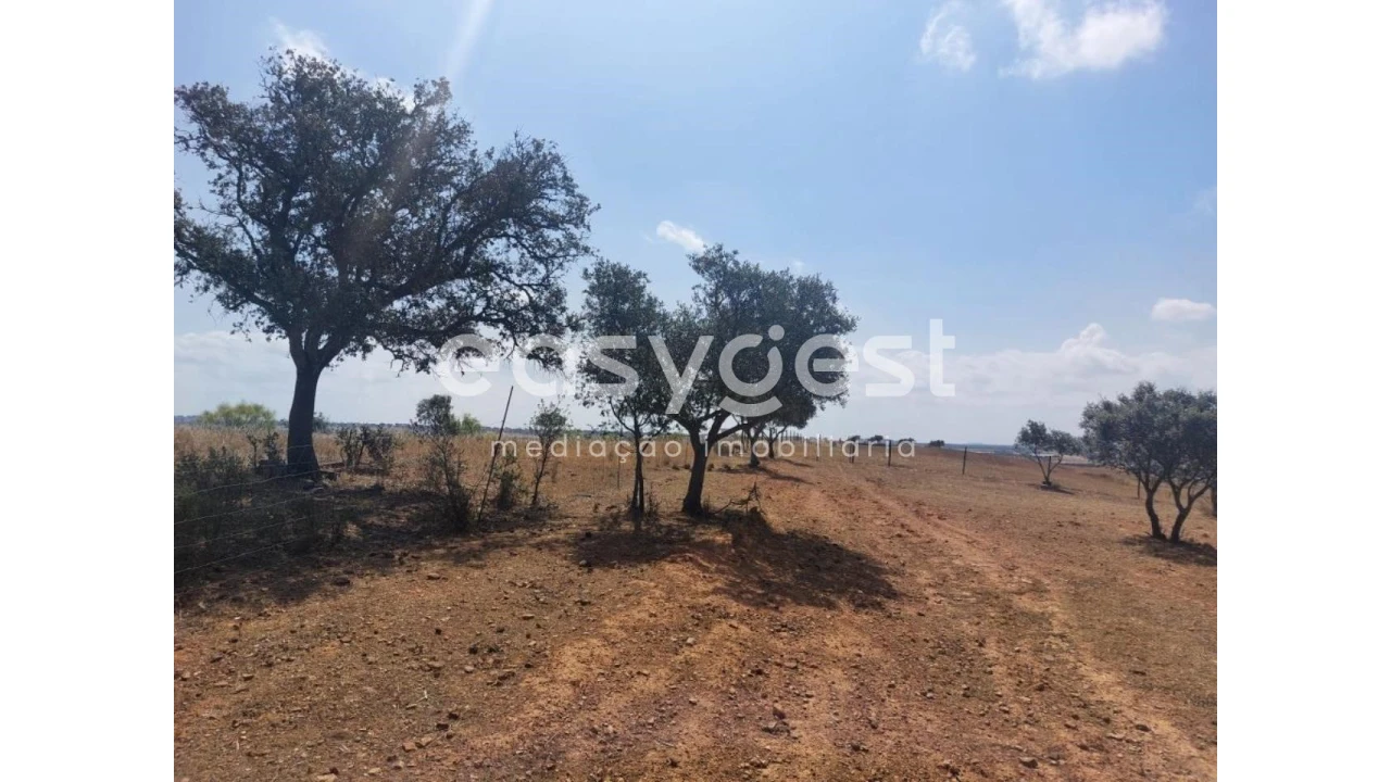 Terreno Agricola ou Rústico para Venda em Alcaria Ruiva Foto 15