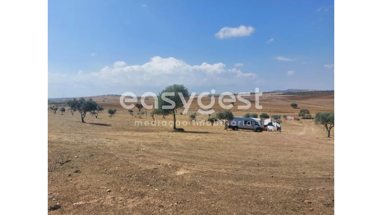 Terreno Agricola ou Rústico para Venda em Alcaria Ruiva Foto 17