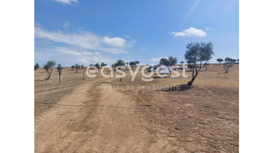 Terreno Agricola ou Rústico para Venda em Alcaria Ruiva Foto 2