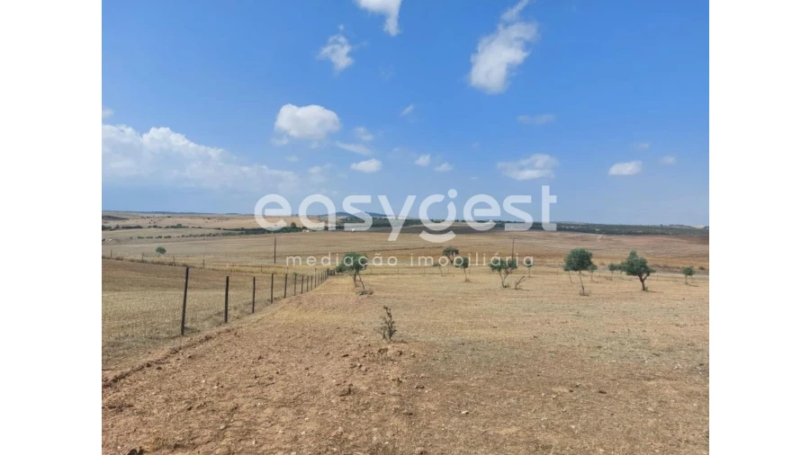 Terreno Agricola ou Rústico para Venda em Alcaria Ruiva Foto 5