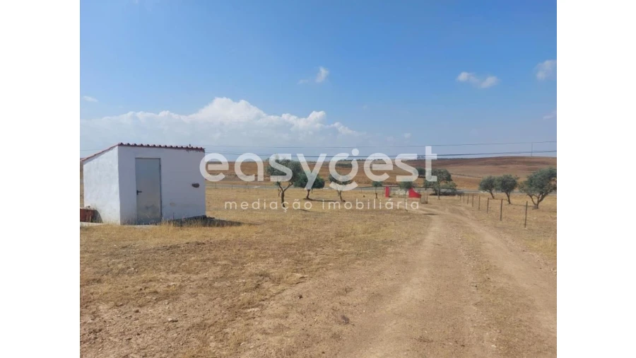 Terreno Agricola ou Rústico para Venda em Alcaria Ruiva Foto 7