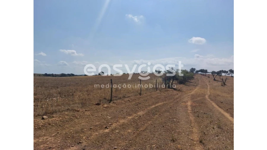 Terreno Agricola ou Rústico para Venda em Alcaria Ruiva Foto 14