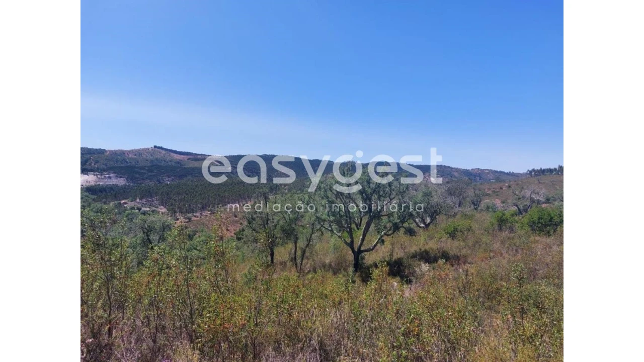 Terreno Agricola ou Rústico para Venda em Luzianes-Gare Foto 1