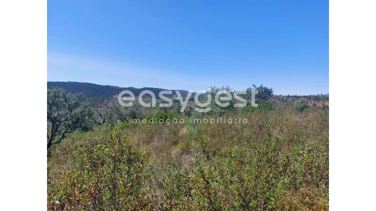 Terreno Agricola ou Rústico para Venda em Luzianes-Gare Foto 3
