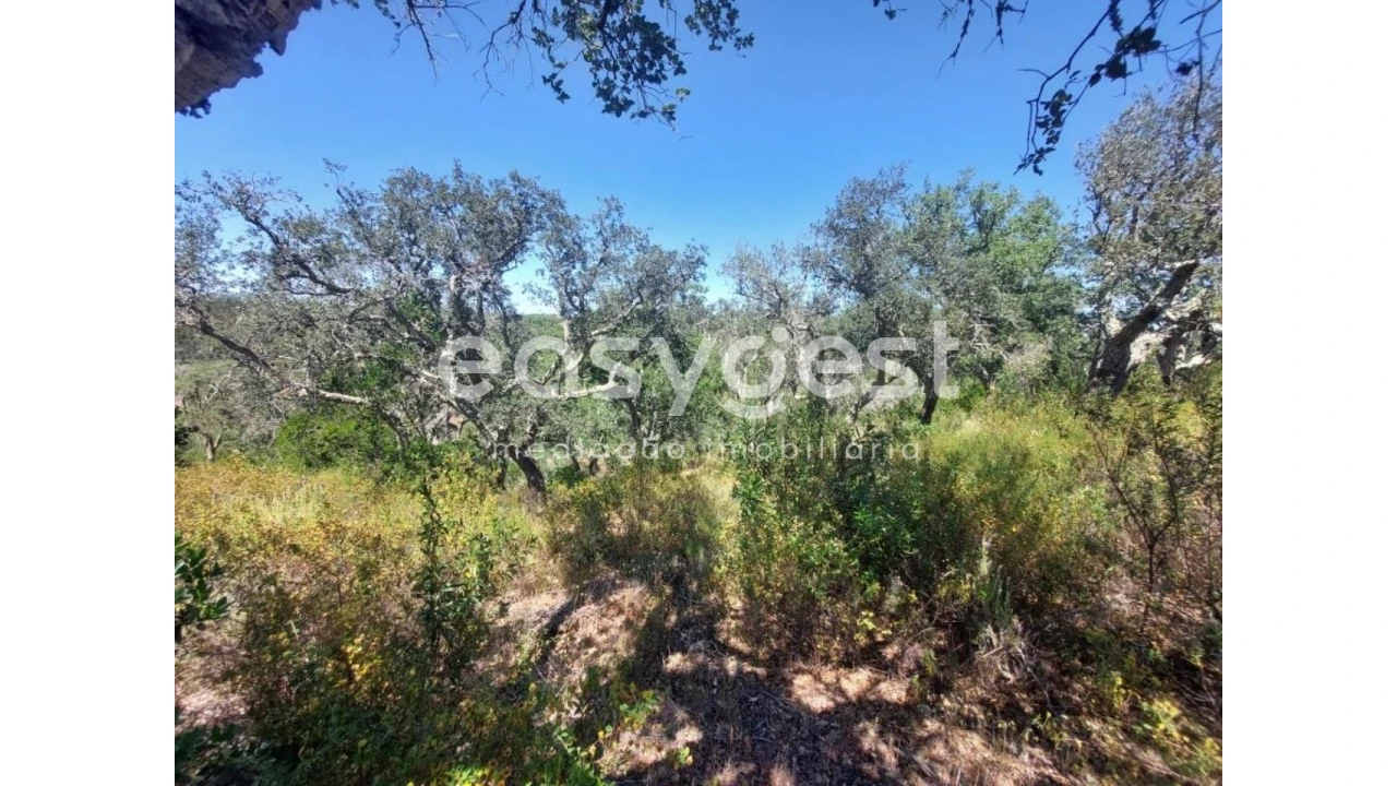 Terreno Agricola ou Rústico para Venda em Luzianes-Gare Foto 4