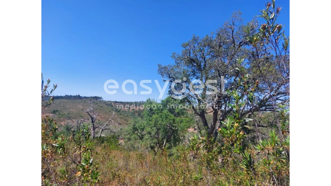 Terreno Agricola ou Rústico para Venda em Luzianes-Gare Foto 5