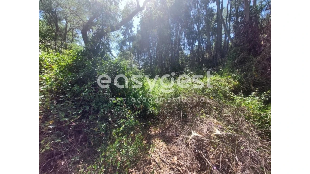 Terreno Agricola ou Rústico para Venda em Luzianes-Gare Foto 6