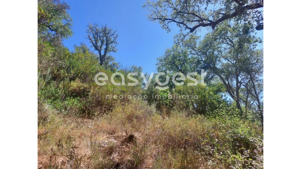 Terreno Agricola ou Rústico para Venda em Luzianes-Gare Foto 10
