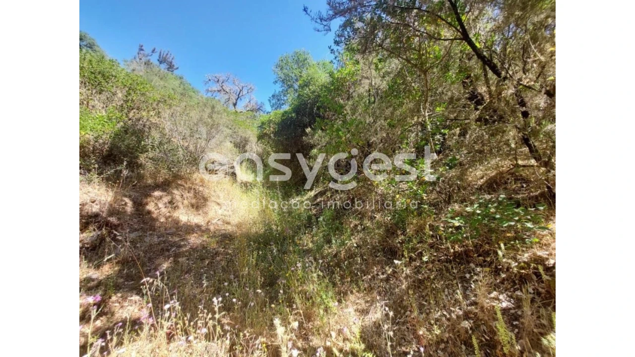 Terreno Agricola ou Rústico para Venda em Luzianes-Gare Foto 14