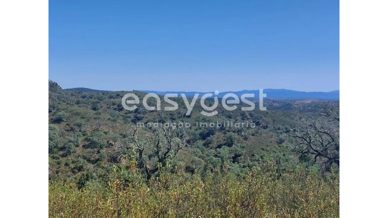 Terreno Agricola ou Rústico para Venda em Luzianes-Gare Foto 15
