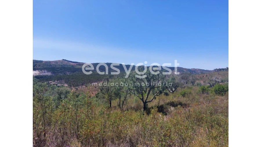 Terreno Agricola ou Rústico para Venda em Luzianes-Gare