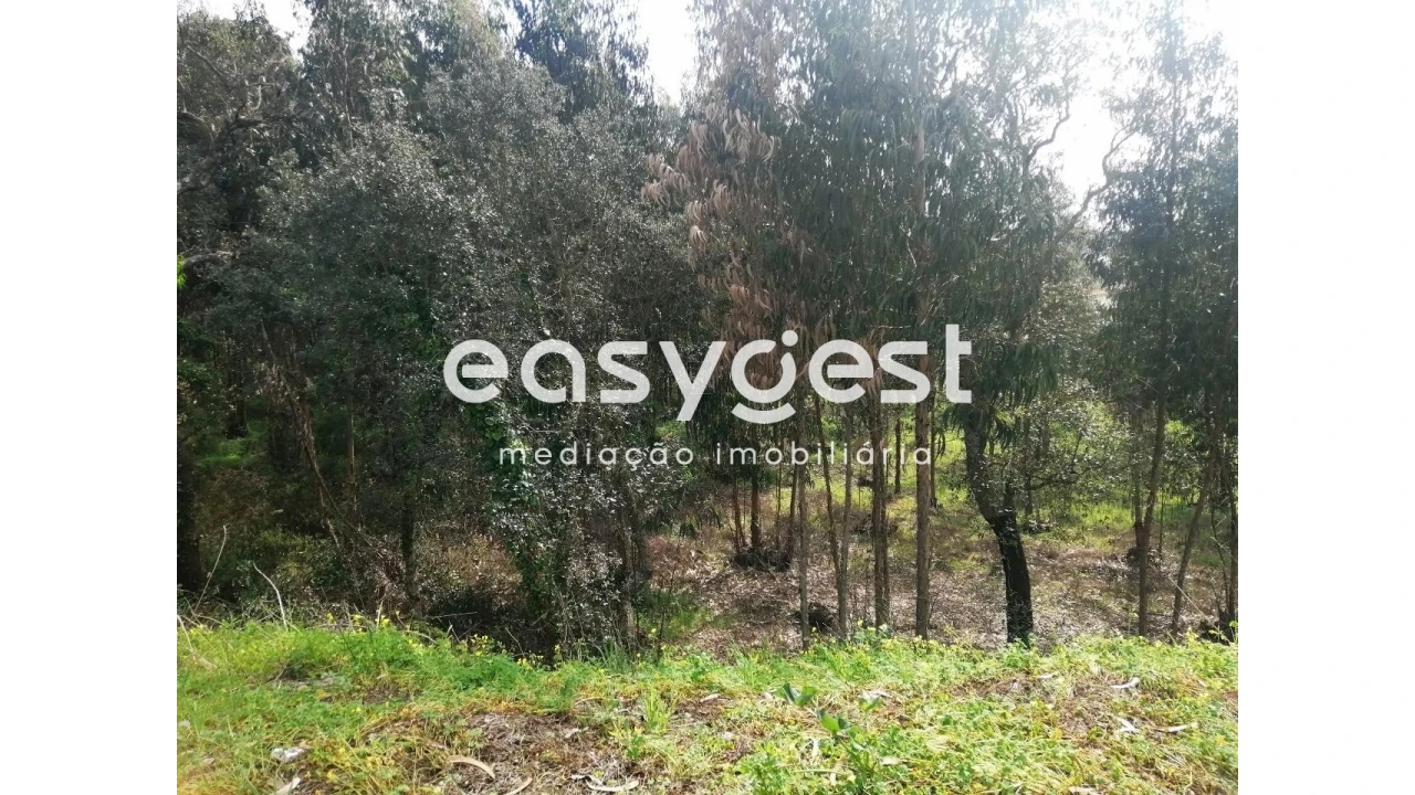 Terreno Agricola ou Rústico para Venda em Taveiro, Ameal e Arzila Foto 4