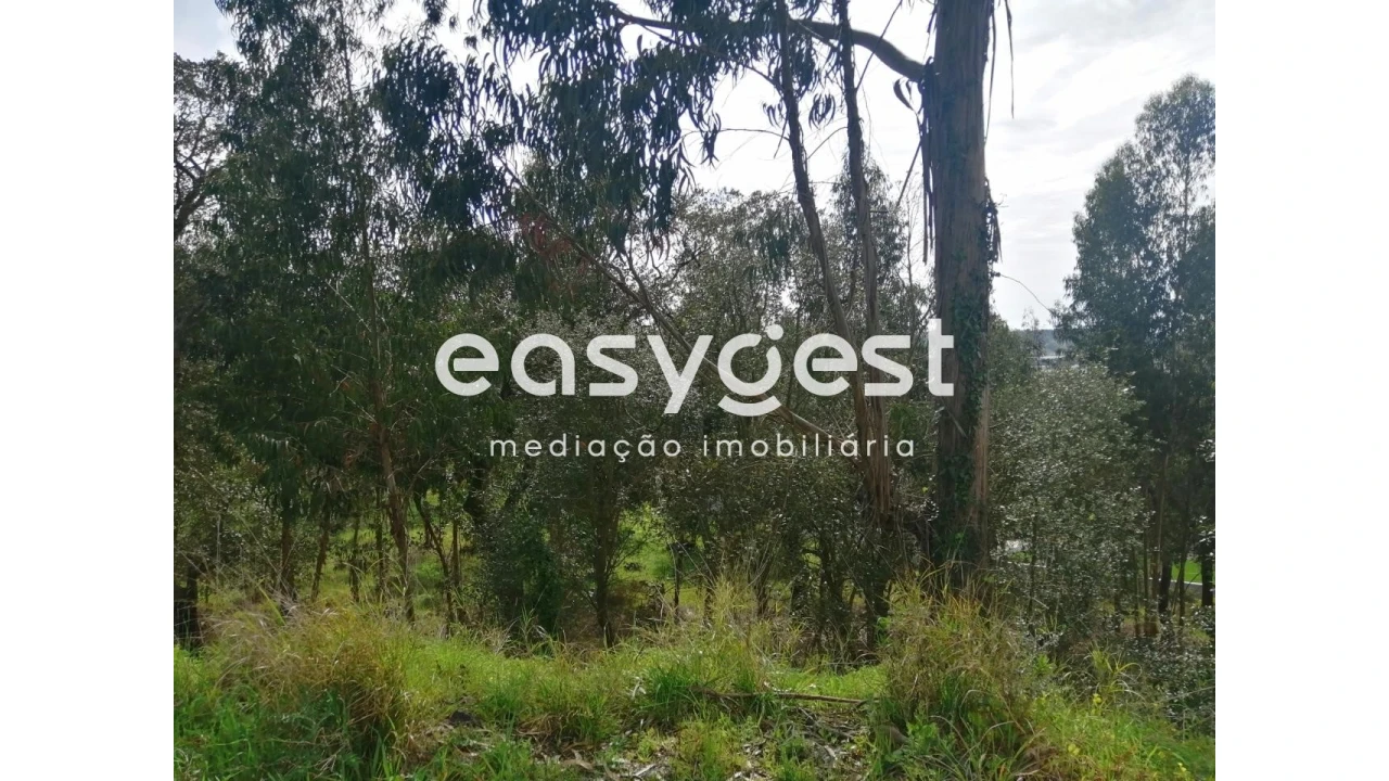 Terreno Agricola ou Rústico para Venda em Taveiro, Ameal e Arzila Foto 5