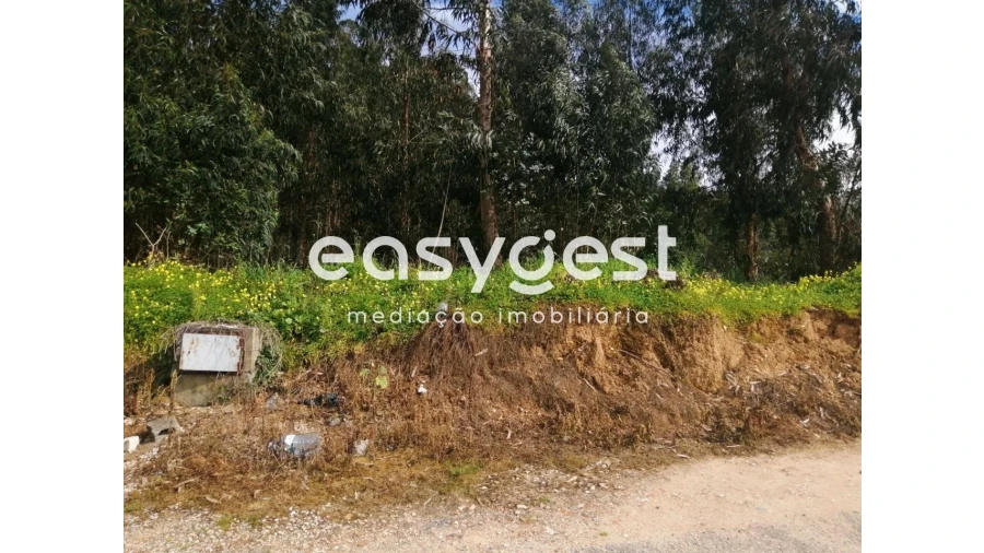 Terreno Agricola ou Rústico para Venda em Taveiro, Ameal e Arzila Foto 2