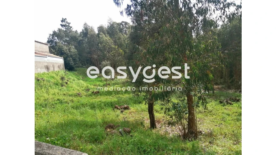 Terreno Agricola ou Rústico para Venda em Taveiro, Ameal e Arzila Foto 6