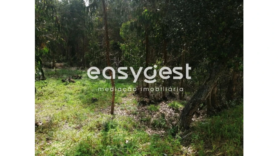 Terreno Agricola ou Rústico para Venda em Taveiro, Ameal e Arzila Foto 7