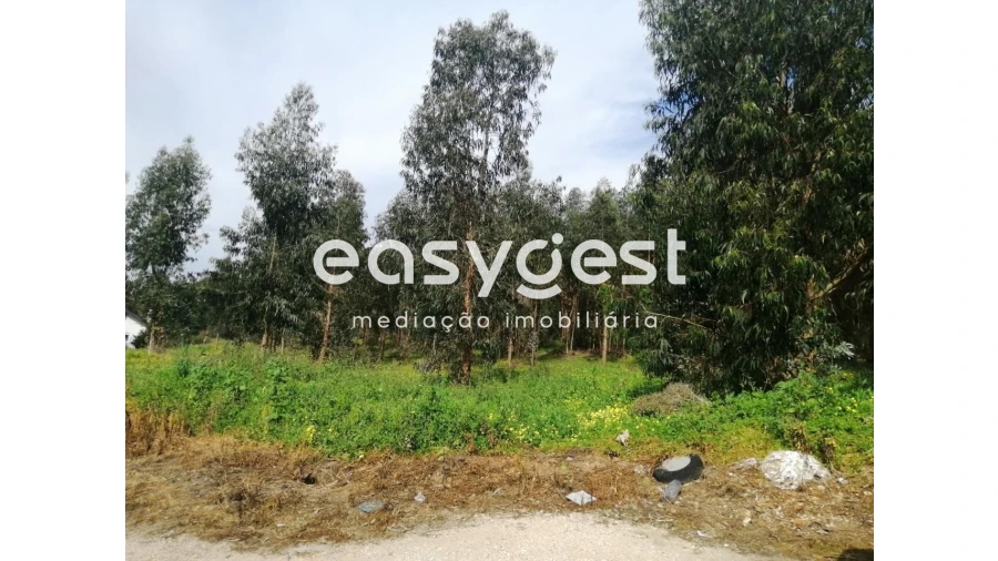 Terreno Agricola ou Rústico para Venda em Taveiro, Ameal e Arzila Foto 17