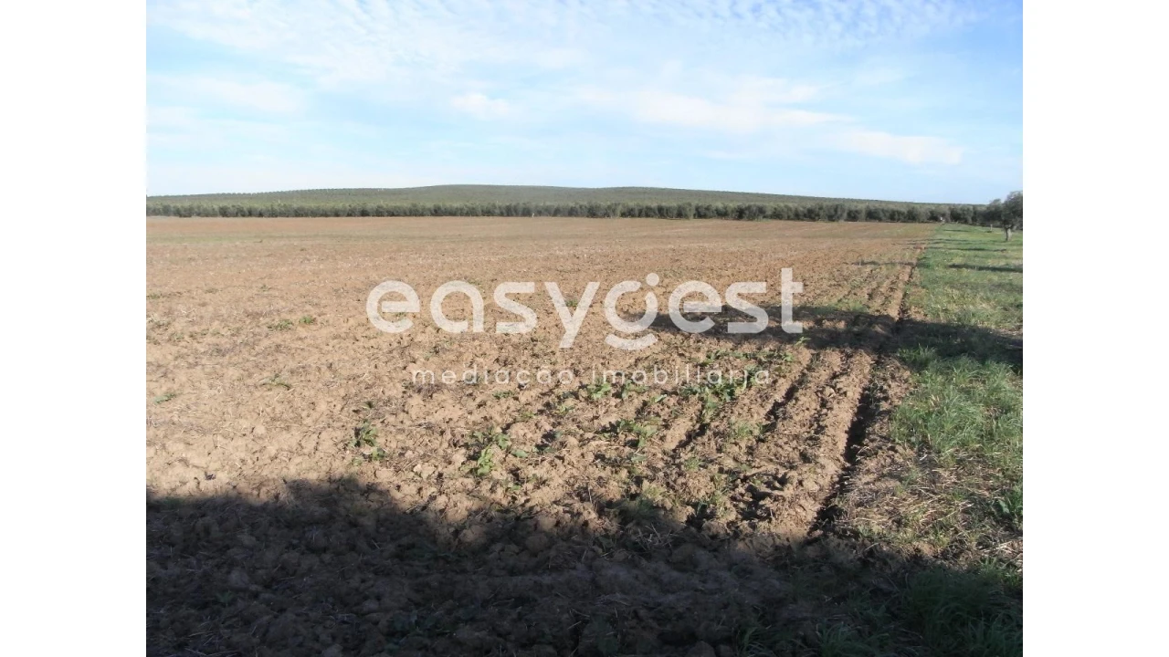 Terreno Misto para Venda em Ferreira do Alentejo e Canhestros Foto 1