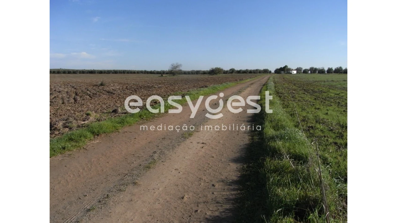 Terreno Misto para Venda em Ferreira do Alentejo e Canhestros Foto 7